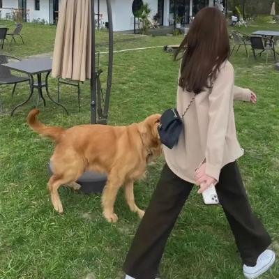 来一打麻花